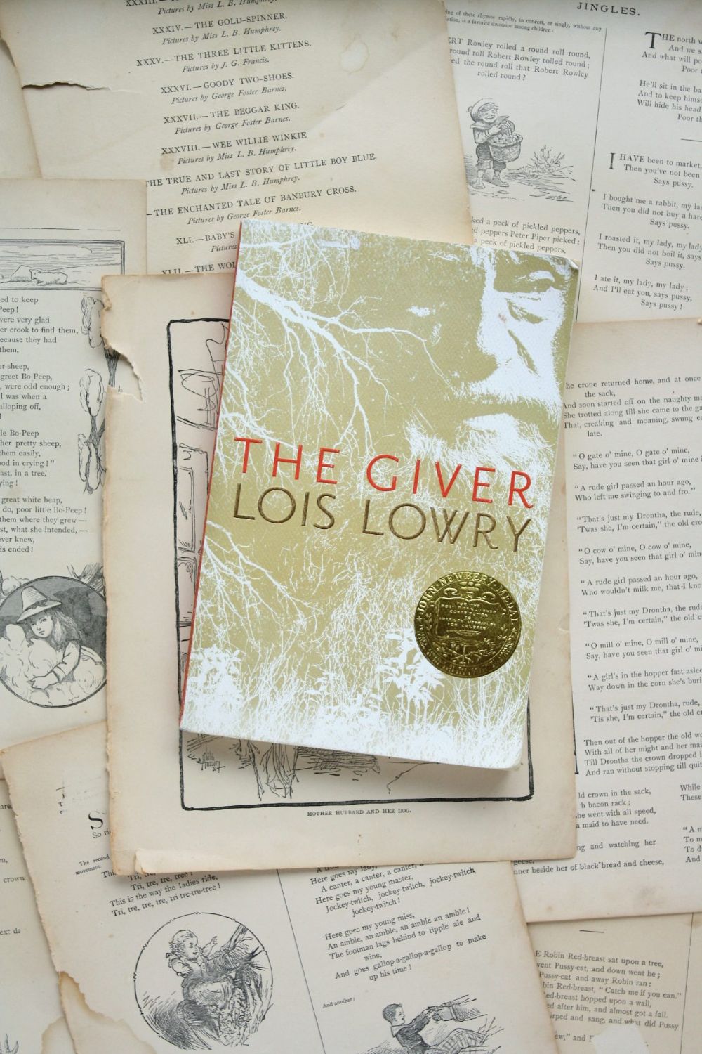 Unveiling the Hidden Truths in the ‘THE GIVER” by Lois Lowry