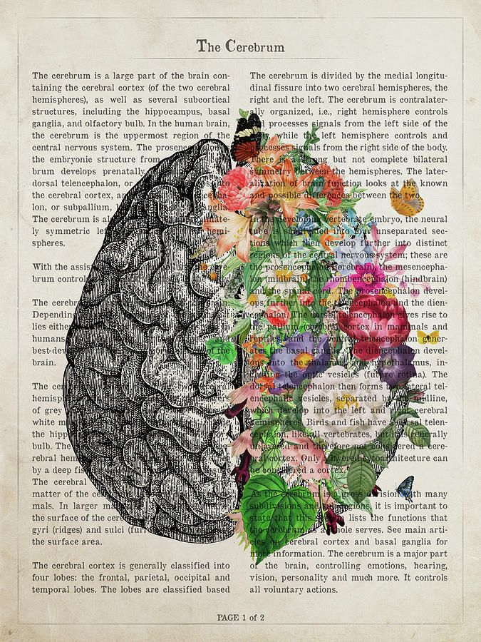 The Morning Routine That Rewired My Brain